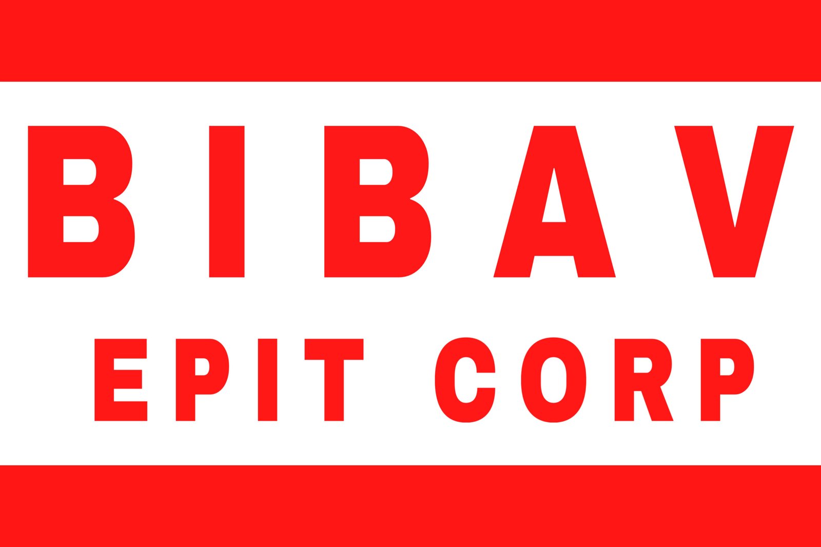 BIBAV EPIT CORP LOGO
